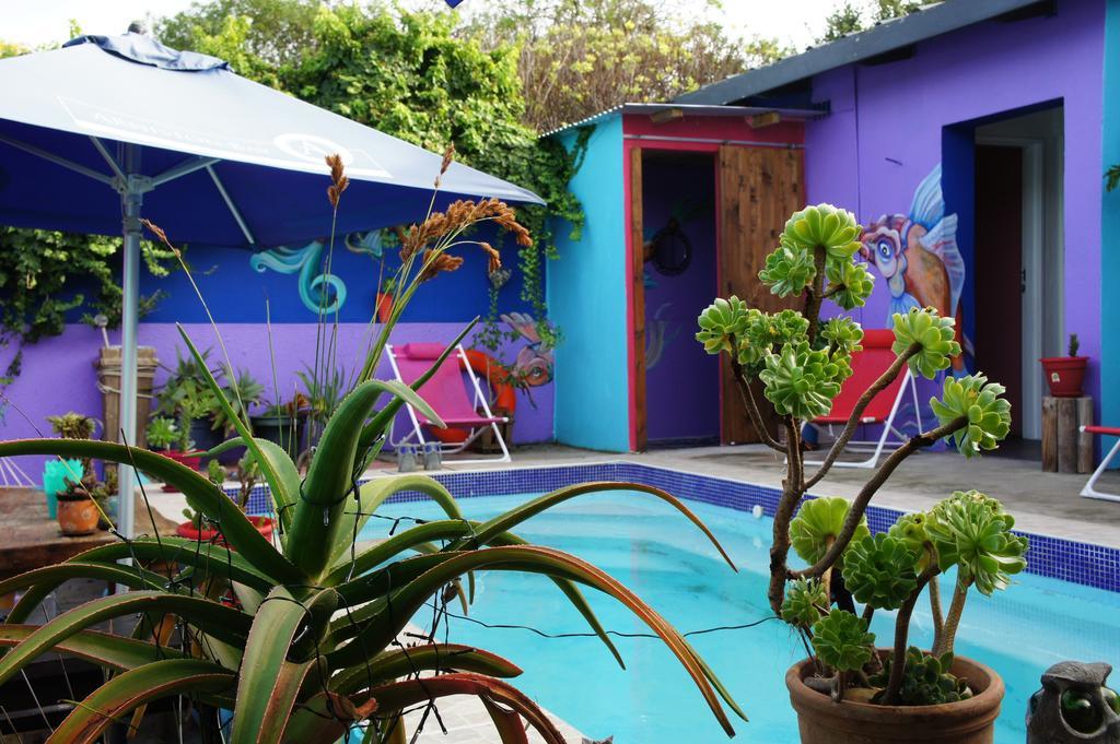 Hostel Cape Agulhas Backpackers Struisbaai Zimmer foto