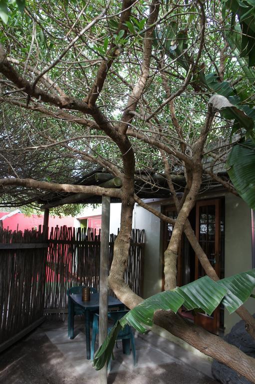 Hostel Cape Agulhas Backpackers Struisbaai Exterior foto