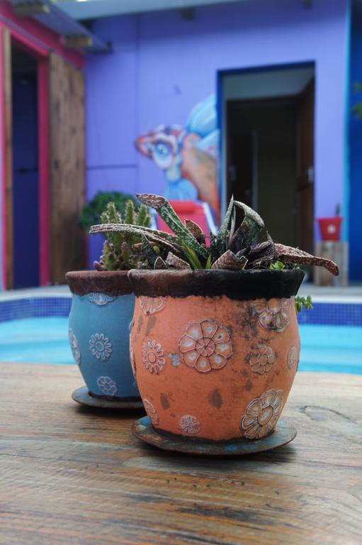 Hostel Cape Agulhas Backpackers Struisbaai Zimmer foto