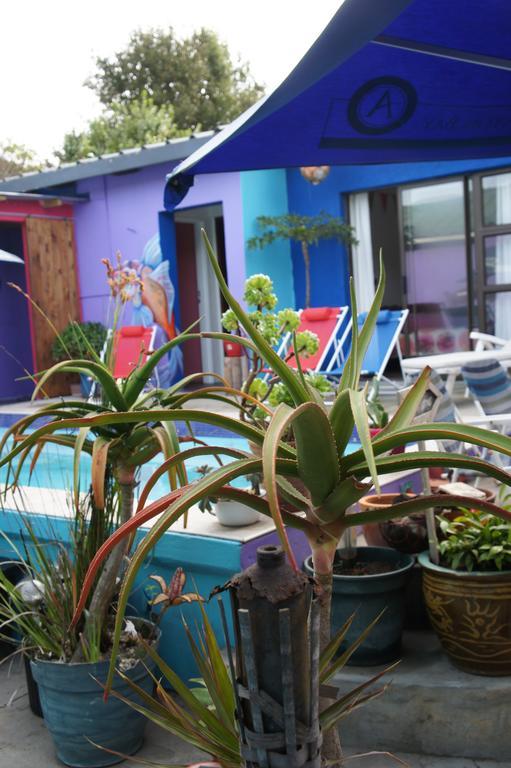 Hostel Cape Agulhas Backpackers Struisbaai Zimmer foto