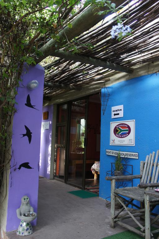 Hostel Cape Agulhas Backpackers Struisbaai Zimmer foto