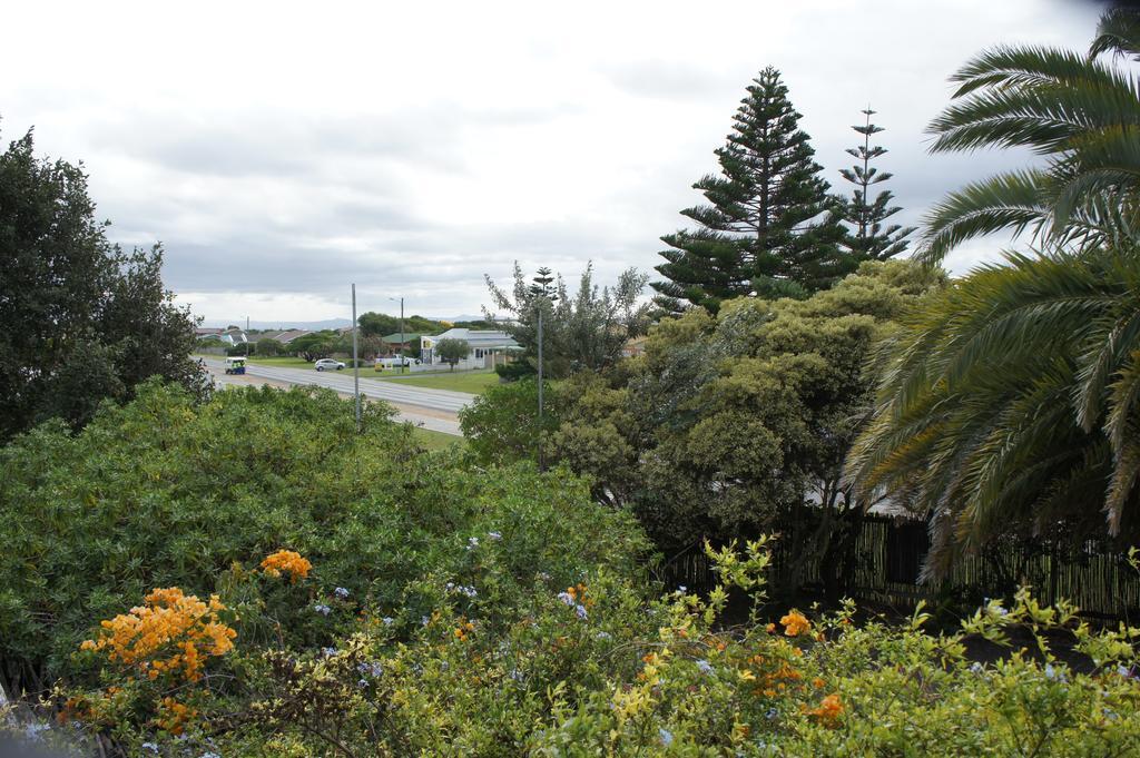 Hostel Cape Agulhas Backpackers Struisbaai Zimmer foto